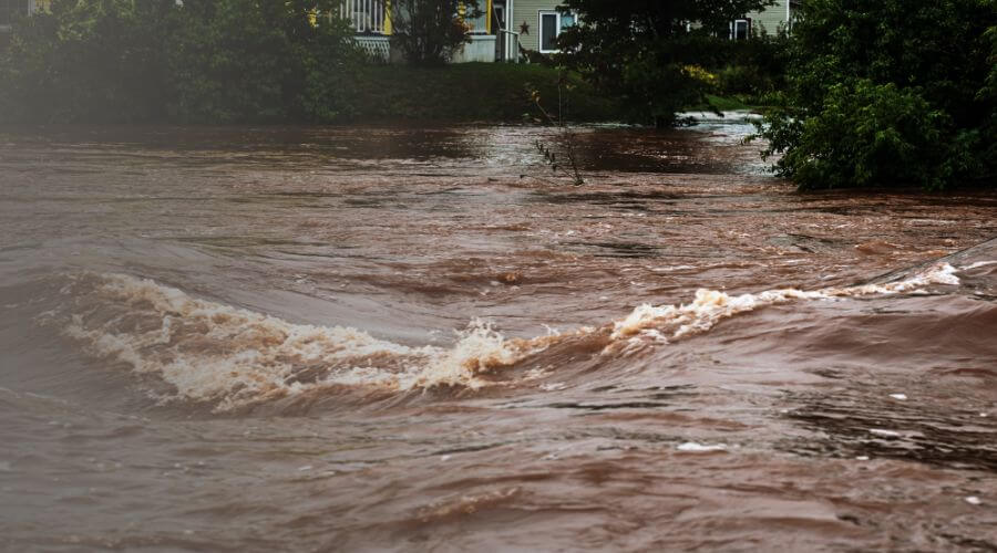 Why choose ClearWave Co for water damage restoration in Long Beach